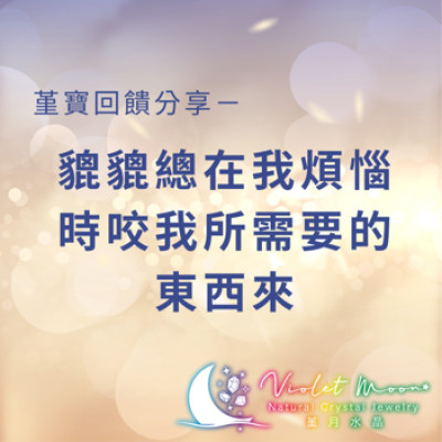 堇寶回饋分享 - 貔貔總在我煩惱時咬我所需要的東西來